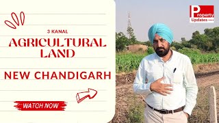 3 kanal agricultural land Opposite Omaxe Tower New Chandigarh perfect for farm house [upl. by Akym]