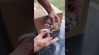 Best possible way  Cat nail clipping [upl. by Ideih]