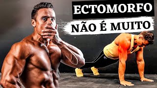 Quantas Flexões Ectomorfo Deve Fazer Em Um Dia para Ganhar Massa Muscular [upl. by Venice]