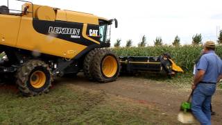 Chopping Corn Head Demonstration [upl. by Brig454]