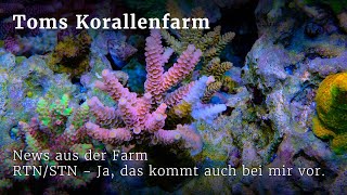 News aus der Farm  RTNSTN  kommt leider in den besten Becken vor [upl. by Bron]