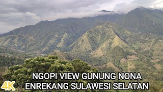 TRIP REPORT MAKASSAR DAN COFFEE JOURNEY NGOPI KOPI TORAJA DENGAN VIEW GUNUNG [upl. by Aicel]