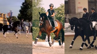 Dressage Video Compilation pt 2 [upl. by Beckman]