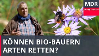 Öko vs konventionell – Können BioBauern Arten retten  Doku [upl. by Schaeffer]