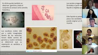 Hydatid disease Echinococcus granulosus التكيس المائي [upl. by Ciri63]