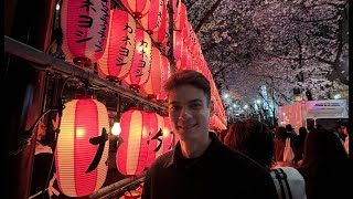 Live aus Japan Frühling in Tokyo mit Kirschblüte🌸 [upl. by Elyc957]