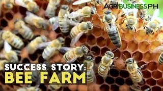 Bee Farming Success Story  Milea Bee Farming  Agribusiness Philippines [upl. by Coplin]