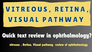 Vitreous Retina visual pathway quick text review  Antomy and structure of Vitreous [upl. by Kurland838]