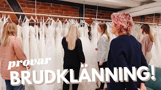 PROVAR BRUDKLÄNNING💍🤯 [upl. by Milzie]