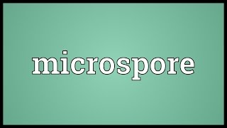 Microspore Meaning [upl. by Katsuyama]