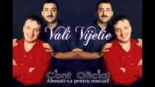 COSTI IONITA amp VALI VIJELIE  INIMIOARAMI BATE PENTRU TINE OFFICIAL TRACK [upl. by Marilla]