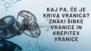 Kaj pa če je kriva vranica Znaki šibke vranice in krepitev vranice Jasmina Kandorfer [upl. by Arianna]