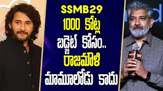 SSMB29 Movie budget update  Mahesh Babu  SS Rajamouli ssmb29 ssmb29update [upl. by Nairim]