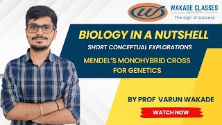 Mendels Monohybrid cross in Genetics [upl. by Silbahc760]