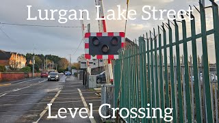 Lurgan Lake Street Level Crossing Craigavon Thursday January 29012024 [upl. by Zoba264]