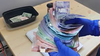 Money Saving Motivation  Counting Canadian Cash [upl. by Nangem]