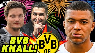 BVB holt 2 LEGENDEN ZURÜCK MBAPPÉ trifft VORENTSCHEIDUNG  KickNews [upl. by Yran]