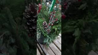 Christmas Wreaths and Porch Pot Prices at Menards shorts [upl. by Lallage]