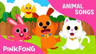 Baby Animals  Animal Songs  Pinkfong Songs for Children [upl. by Nastassia]