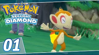 Pokémon Brilliant Diamond Gameplay Walkthrough Part 1 [upl. by Nehgaem]