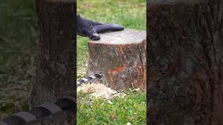 Best Way Remove Tree Stumbmuhamedaslam4405 satisfying diy fire tree treestumpremoval work [upl. by Eramat]