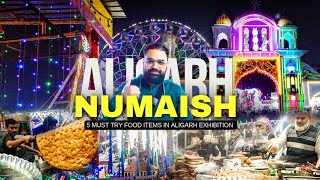 5 Must Try Food Items In Aligarh Numaish  Aligarh Exhibition 2024  Aligarh Food Vlog [upl. by Jopa]