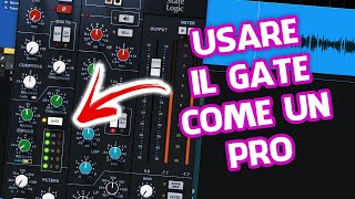 GATE ED EXPANDER IMPARA AD USARLI COME UN PRO Mixare Home Studio Plugin [upl. by Sheba]