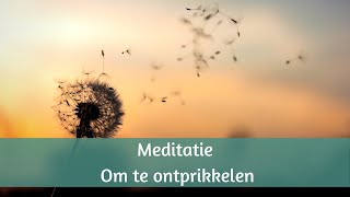 Meditatieoefening om te ontprikkelen [upl. by Dnomsaj]