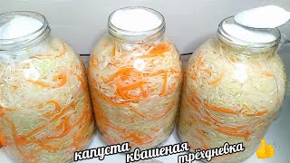 20 ЛЕТ МАРИНУЮ КАПУСТУ ТОЛЬКО ТАК ВСЕ ОТ НЕЁ БЕЗ УМА САМЫЙ ПРОСТОЙ И САМЫЙ ВКУСНЫЙ РЕЦЕПТ [upl. by Sundstrom]