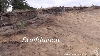 Stuifduinen Sallandse Heuvelrug [upl. by Robinson]