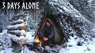 Finding Shelter in Snow 3 Day WINTER Camping Bushcraft Survival Shelter [upl. by Nytnerb193]