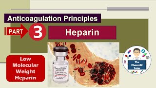 Heparin Anticoagulation Principles  Part 3 Low Molecular Weight Heparin [upl. by Zoila13]