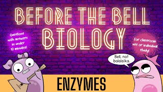 Enzymes Before the Bell Biology [upl. by Nannaihr]