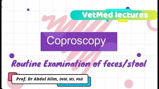 Inside the Lab Mastering Routine Fecal or Stool Examination Techniques in 5 minutes [upl. by Neelahs]