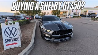 Checking Out a GT350 for the First Time Did I Make the Purchase [upl. by Branca]