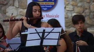 A Vivaldi Concerto per flauto traversiere e archi [upl. by Trebleda]