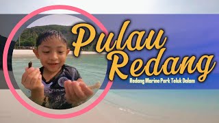 Redang Island  Redang Marine Park Teluk Dalam Part 1 [upl. by Kred429]