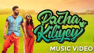 Pacha Kiliyay Music Video Ft AnuradhaSriramSinger Music by Jaru Muralee [upl. by Paule]