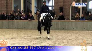 Desperado Wins 2011 KWPN Autumn Stallion performance test [upl. by Davy]