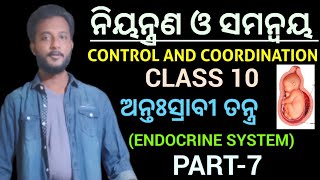 ଅନ୍ତଃସ୍ରାବୀ ତନ୍ତ୍ର Endocrine System class 10 biology chapter5 in odia  ନିୟନ୍ତ୍ରଣ ଓ ସମନ୍ଵୟ [upl. by Sherj116]