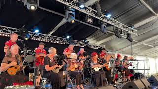 Peterborough Beer Festival 2024  Palmy Ukulele Band [upl. by Sami]