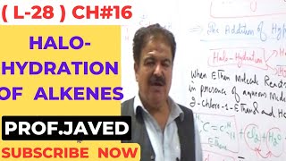 HaloHydration of Alkenes  L28 2nd year Chemistry  Urdu  Hindi  By ProfJaved khan Yousafzai [upl. by Malim]