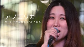 やさしさで溢れるようにJUJU Covered by アノエリカ [upl. by Cirre]