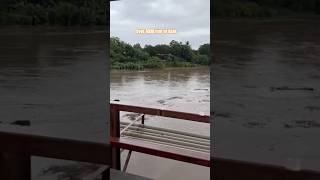 GUANACASTE UNDER WATER Tempisque River Floods Its Banks costarica floods [upl. by Auohc]