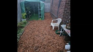 Im SHOCKED by How Well Wood Chips Work as MULCH [upl. by Adlin]