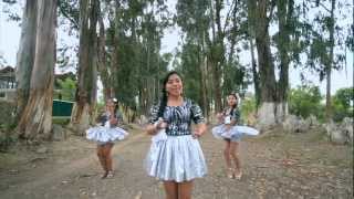 LAS GAVIOTITAS  NO SE PUEDE CONVIVIR VIDEO OFICIAL 2013 [upl. by Silda518]