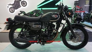 New Kawasaki W175 2019 Limited Edition  2019 Kawasaki W175 Firts Look [upl. by Luthanen]