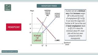 Monopsony [upl. by Latisha]