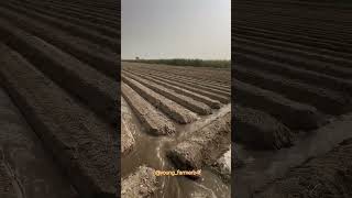 Best irrigation method farming farmer IndianFarmer [upl. by Nevaed]