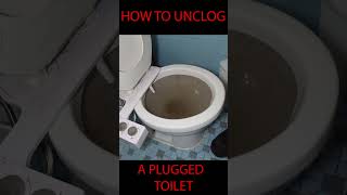 How to unclog a plugged toilet [upl. by Grimaud110]